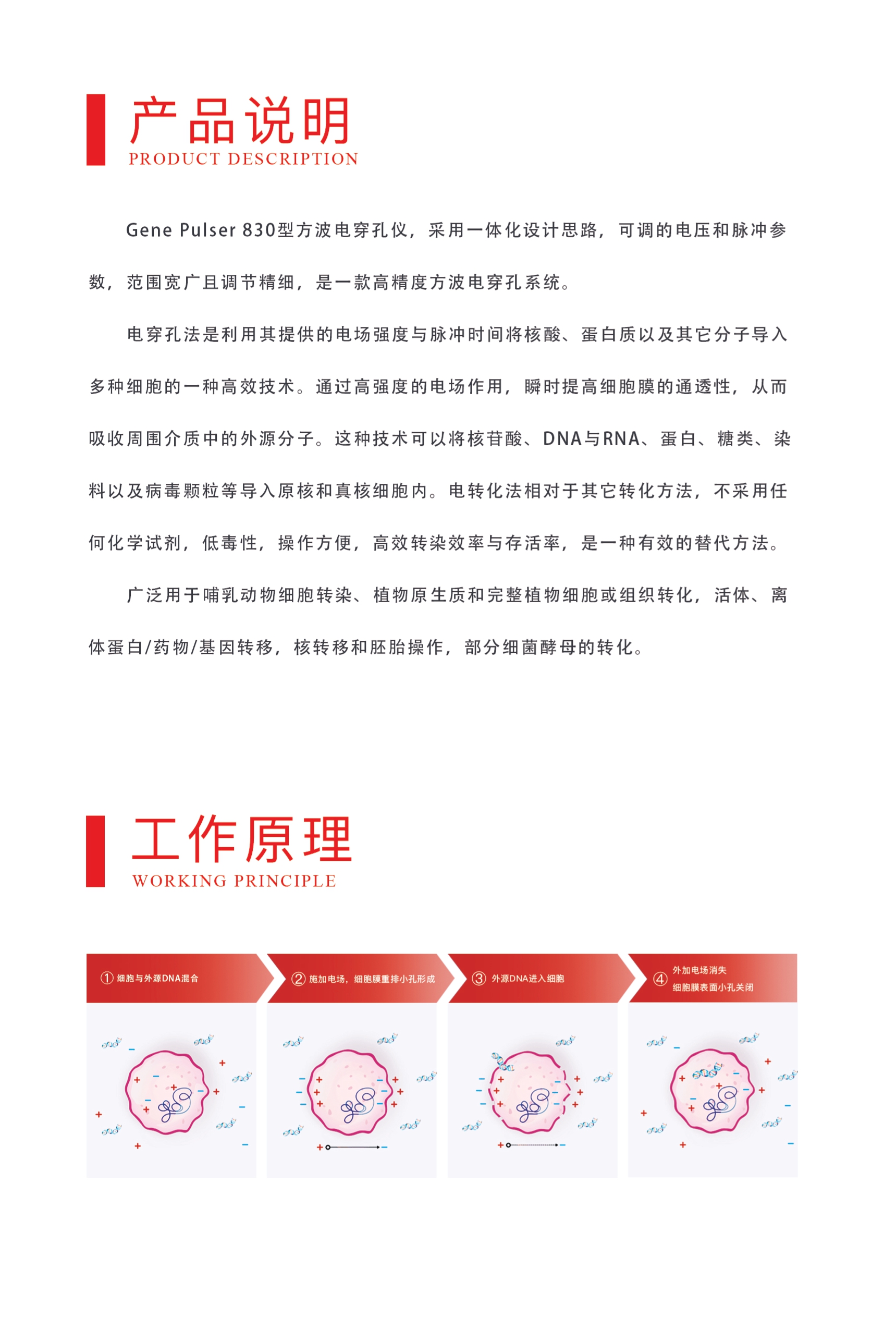 电穿孔仪方波830_page-0005.jpg