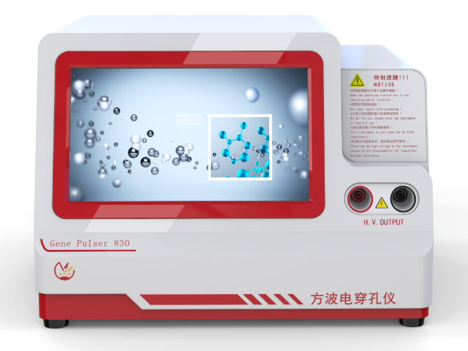 电穿孔仪的工作原理是什么？核心机制与应用场景详解